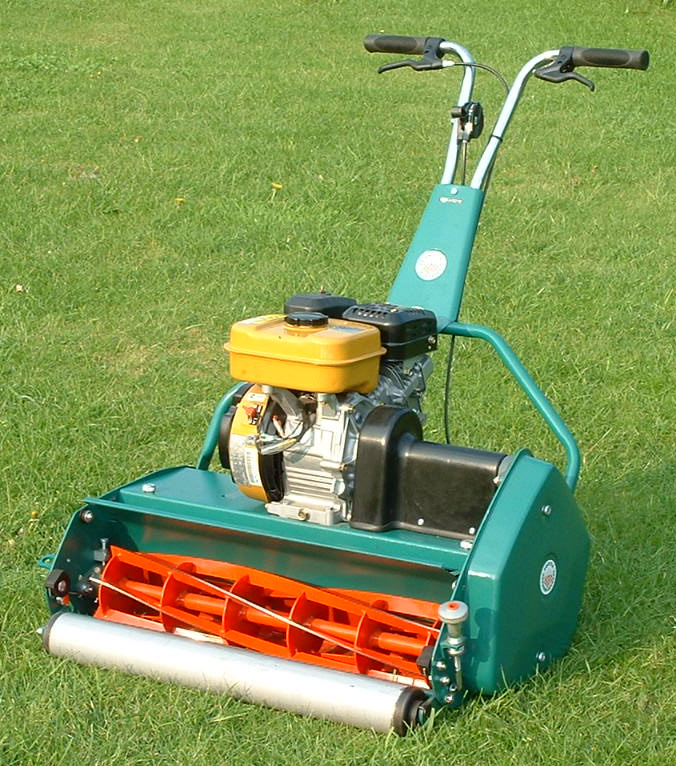 Protea scarifier 2024